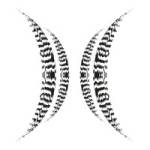 Divani Collection Hotels